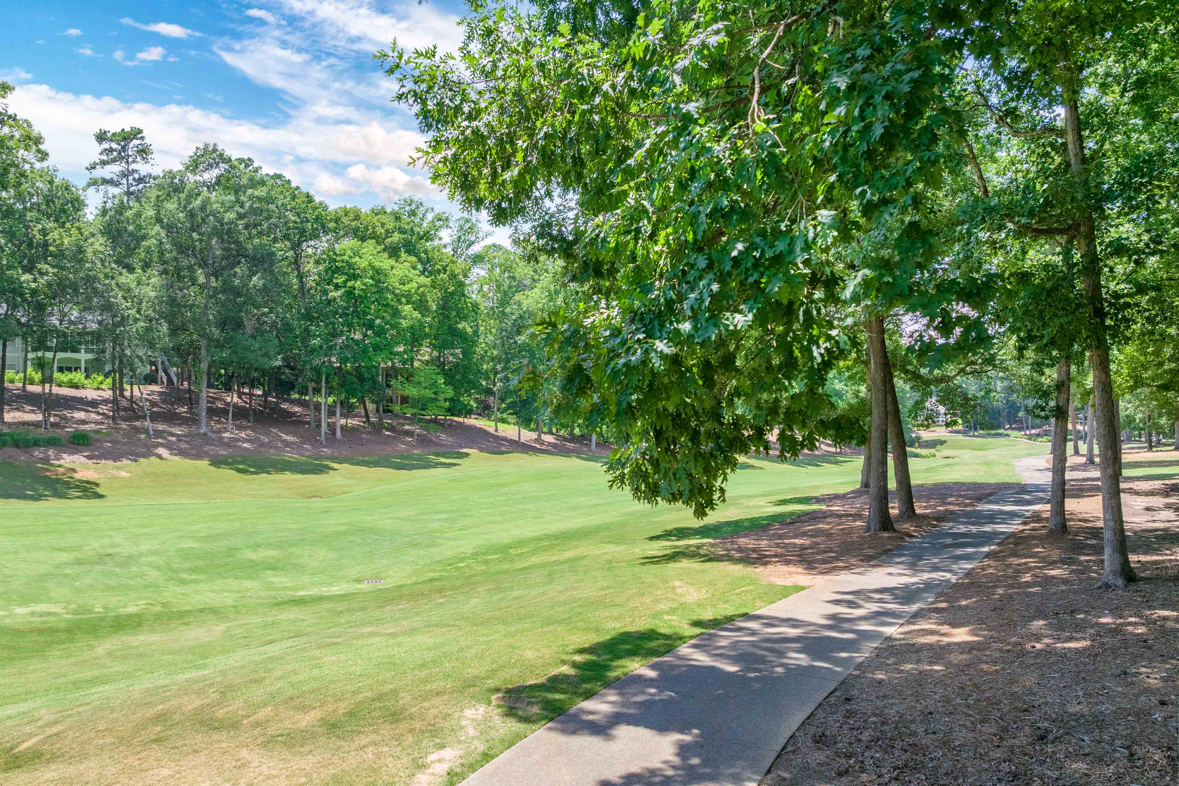 1131 Scull Shoals Drive image 51